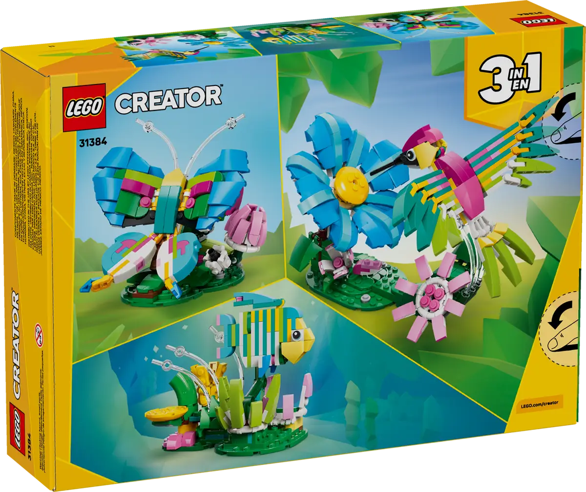 Animaux sauvages Colorful Colibri (31384)